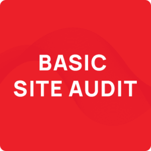 Basic-Site-Audit-img