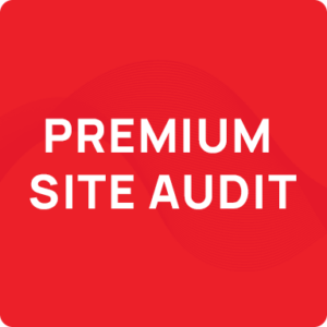 Premium-Site-Audit-img